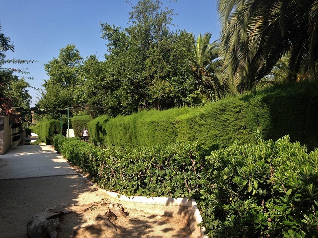 b0064411_01341844.jpg