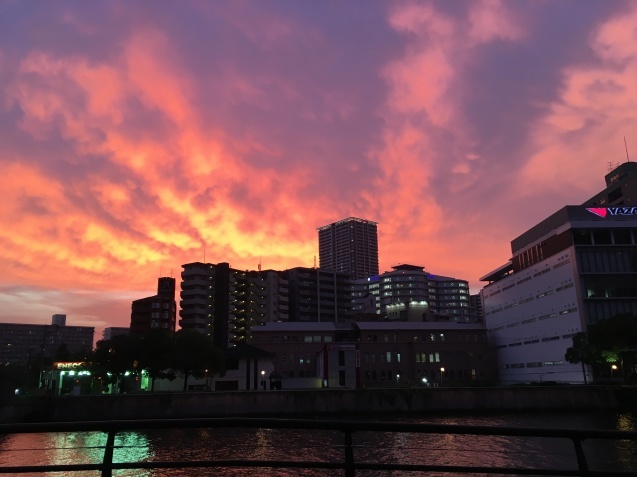一旦、安定期 NO.594_c0102513_12104753.jpeg