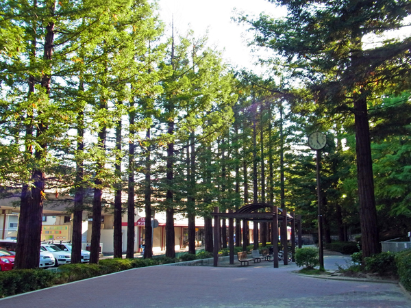 e0083517_23010061.jpg