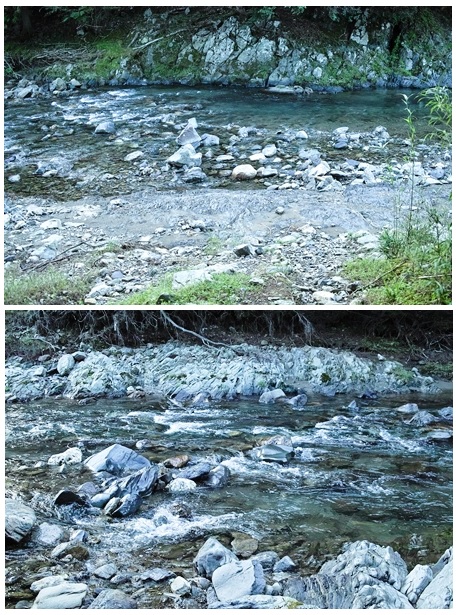 c0044819_6384061.jpg