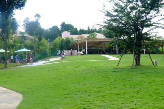 b0310424_11410098.jpg