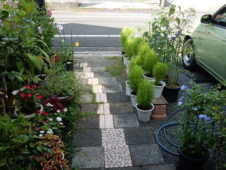 e0033229_1831254.jpg