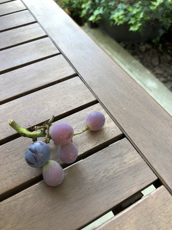 d0282139_05493793.jpeg