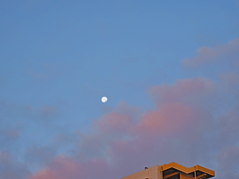 d0290240_10281188.gif