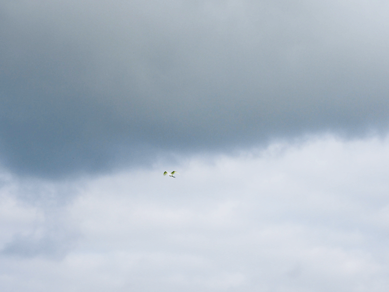 d0290240_10332266.gif