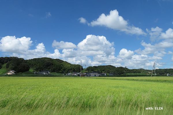 ７月の事は７月のうちに。_e0365941_20034637.jpg