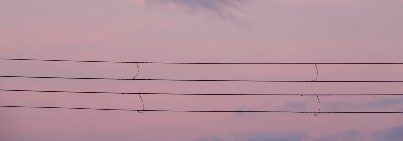 f0374041_06192000.jpg