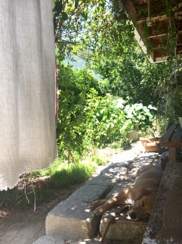 d0145345_18161155.jpeg