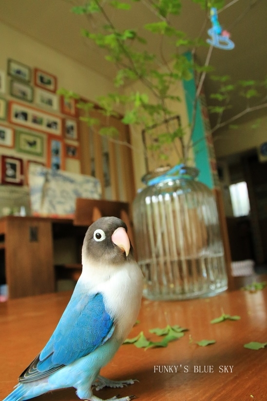 c0145250_10505369.jpg