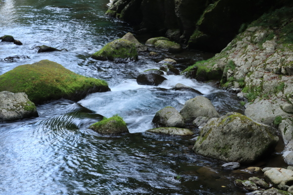 b0243152_14584244.jpg