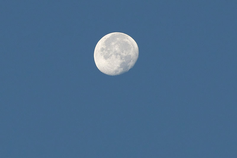 d0342652_65627.jpg