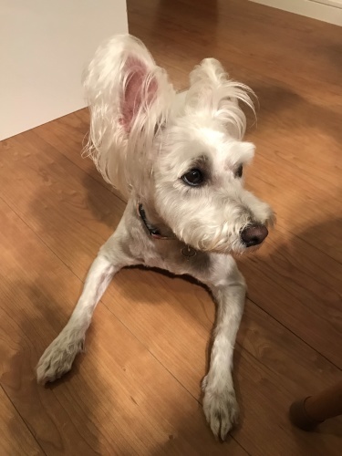 f0349957_10085251.jpeg