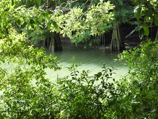 c0222861_22295843.jpg