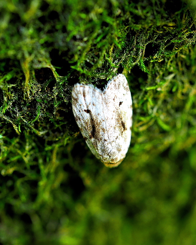 c0305565_17424696.jpg