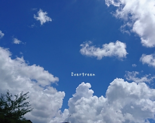 d0362666_20140091.jpg