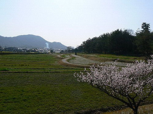 2008/5GW【岡山香川】吉備イワクラだらけで桃太郎の謎ツアー【吉備津神社、吉備中山磐座群、夜泣石、楯築遺跡、備中国分寺、田倉牛神、閑谷学校、熊山、牛窓、鬼ノ城、倉敷、鬼無、女木島、銭形】_b0116271_16115719.jpg