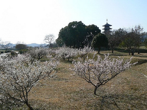 2008/5GW【岡山香川】吉備イワクラだらけで桃太郎の謎ツアー【吉備津神社、吉備中山磐座群、夜泣石、楯築遺跡、備中国分寺、田倉牛神、閑谷学校、熊山、牛窓、鬼ノ城、倉敷、鬼無、女木島、銭形】_b0116271_16121598.jpg