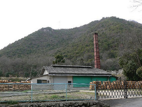 2008/5GW【岡山香川】吉備イワクラだらけで桃太郎の謎ツアー【吉備津神社、吉備中山磐座群、夜泣石、楯築遺跡、備中国分寺、田倉牛神、閑谷学校、熊山、牛窓、鬼ノ城、倉敷、鬼無、女木島、銭形】_b0116271_16360967.jpg