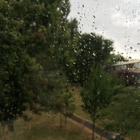 f0275876_21591667.jpeg