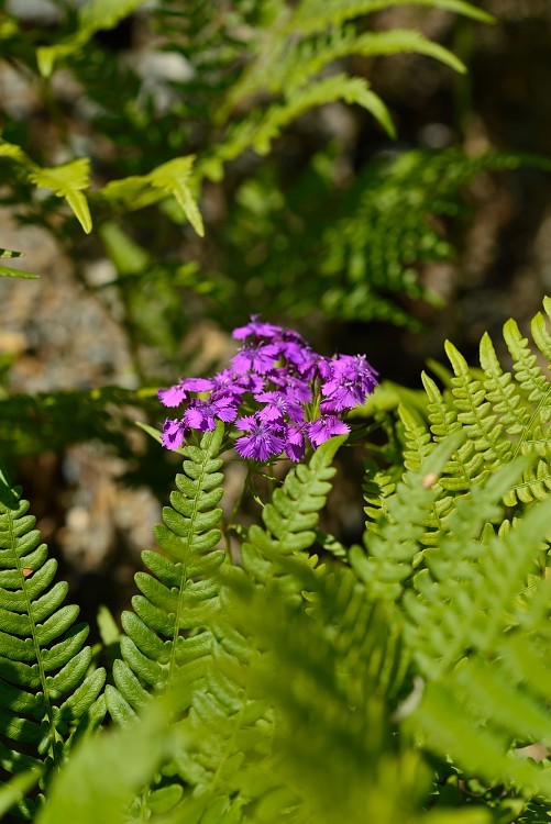 d0341880_23073708.jpg