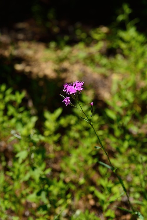 d0341880_23094634.jpg