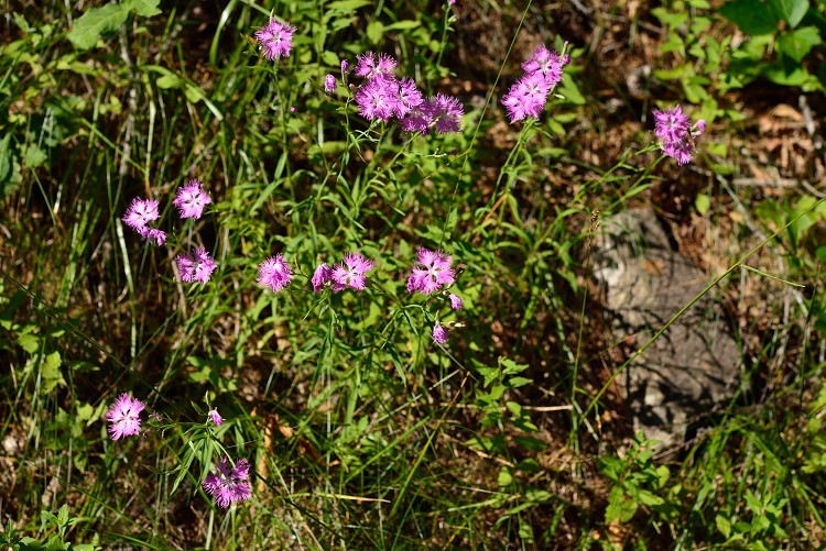 d0341880_23095425.jpg