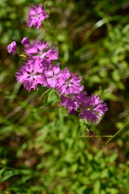 d0341880_23100003.jpg