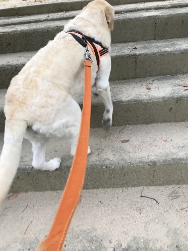 f0315081_23265662.jpeg