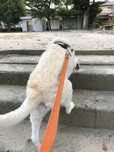 f0315081_23275112.jpeg