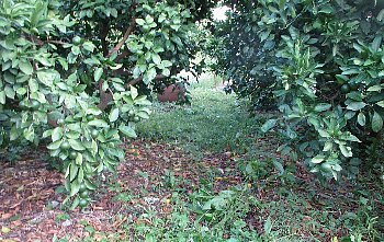 f0003283_18300635.jpg