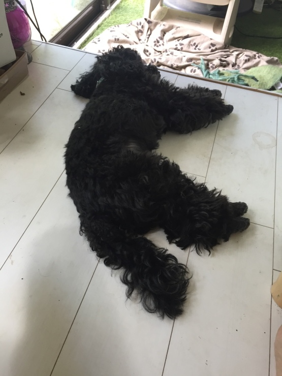 b0098584_20495619.jpeg