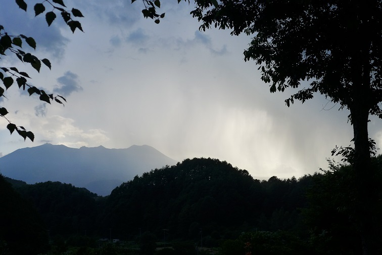 a0130586_17334874.jpg