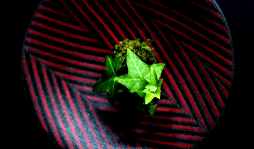 d0085887_17521961.jpg