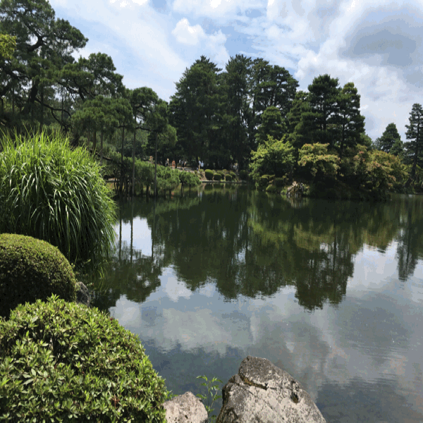 a0309389_11280327.gif