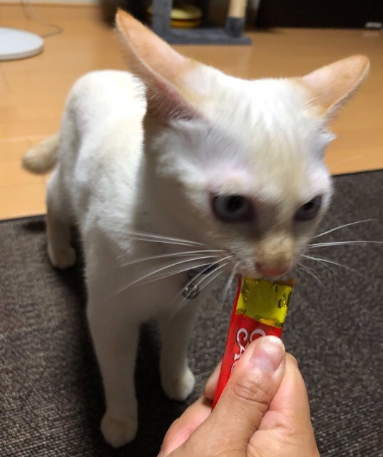 b0035391_22321950.jpeg