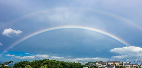 e0176993_09592893.jpg