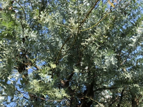 f0215094_21430398.jpeg