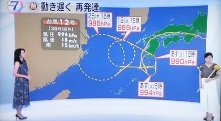 187月30日 変な台風 有り合せの夕食 てるこのルーム2