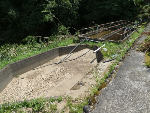 c0108198_15524545.jpg