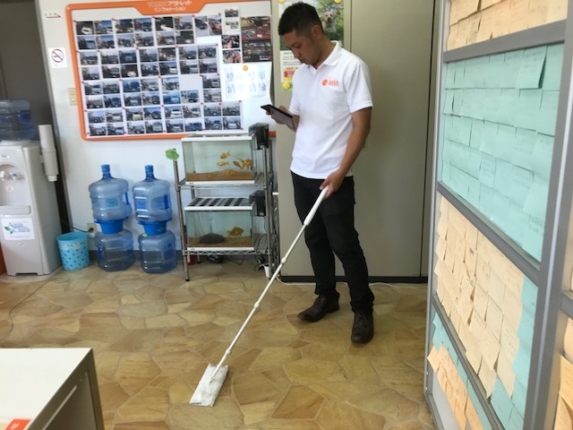 b0127002_17042618.jpeg