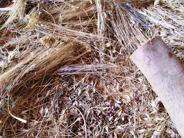 d0147804_21164997.jpg