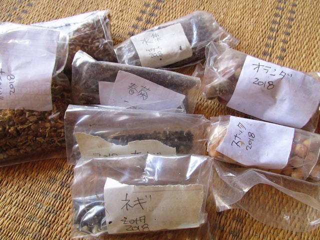 d0147804_21170186.jpg