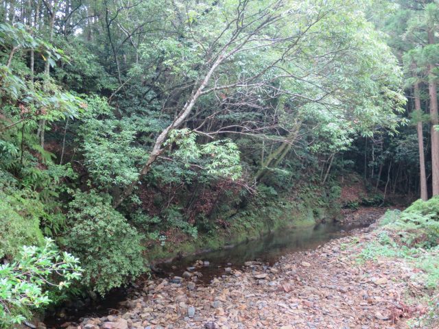 d0360104_14090834.jpg