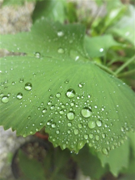 e0078404_13075271.jpg