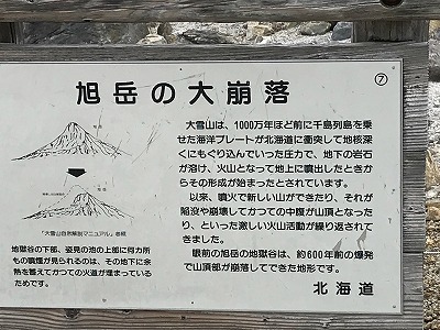 d0180506_15490267.jpg