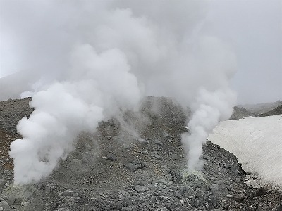 d0180506_15515758.jpg