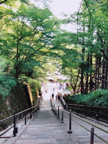 夏休みいただきました その1_a0037910_11443926.jpeg