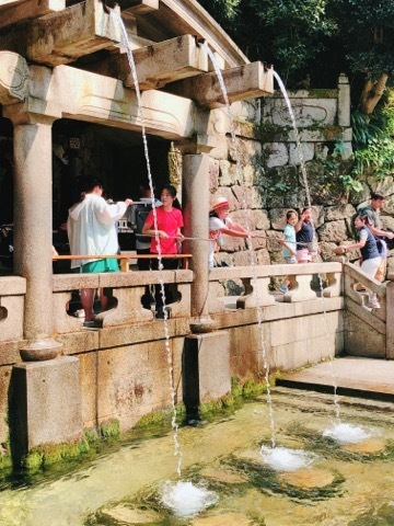 夏休みいただきました その1_a0037910_11520580.jpeg