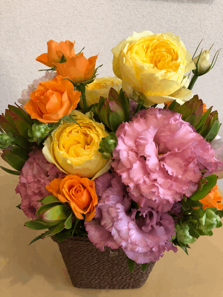 b0268815_16012013.gif