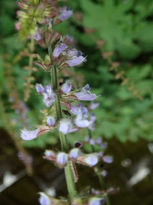 f0193521_17514260.jpg